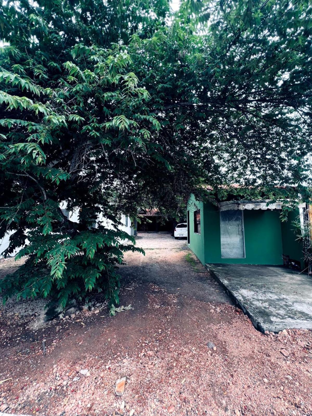 Casa Tamboril Leilighet São Jorge Eksteriør bilde